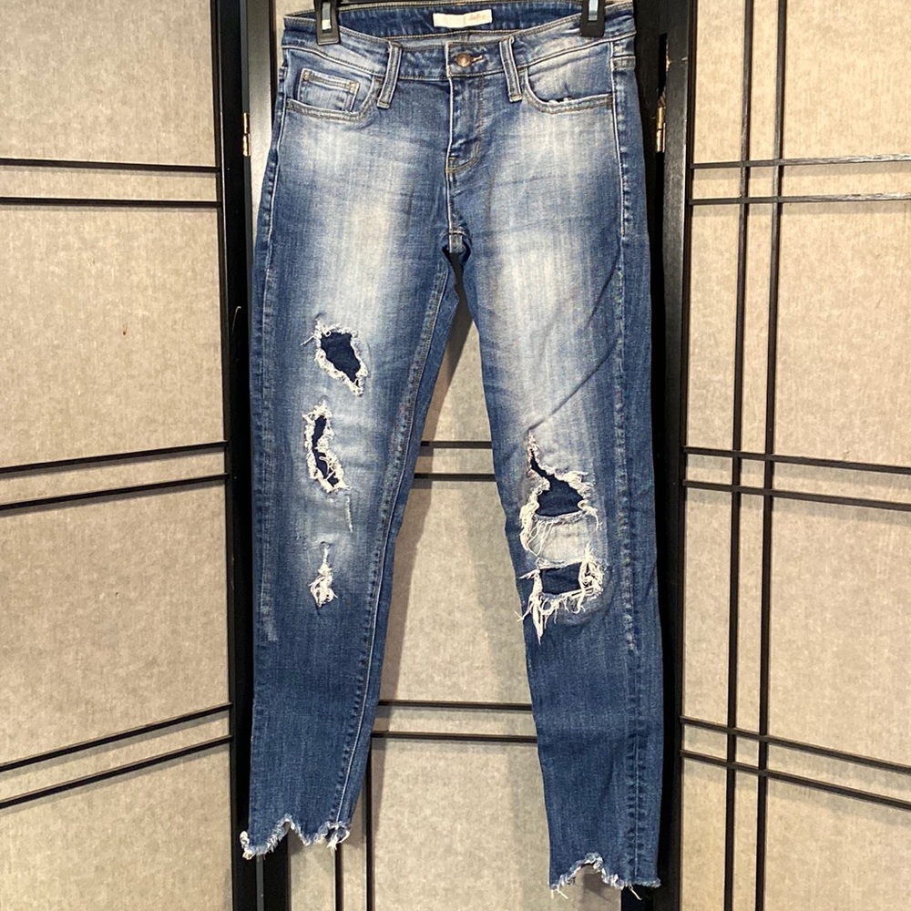 Daytrip refined lynx ankle skinny jeans size 26 - Picture 1 of 11
